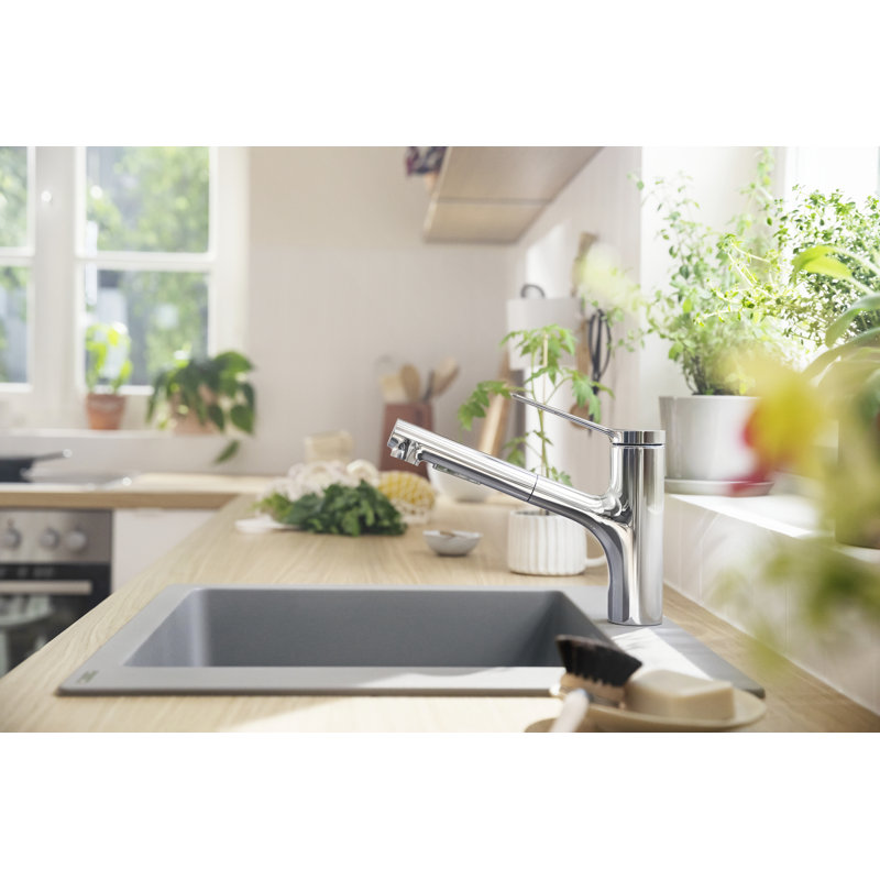 Hansgrohe Zesis Pull Out Kitchen Faucet & Reviews | Wayfair
